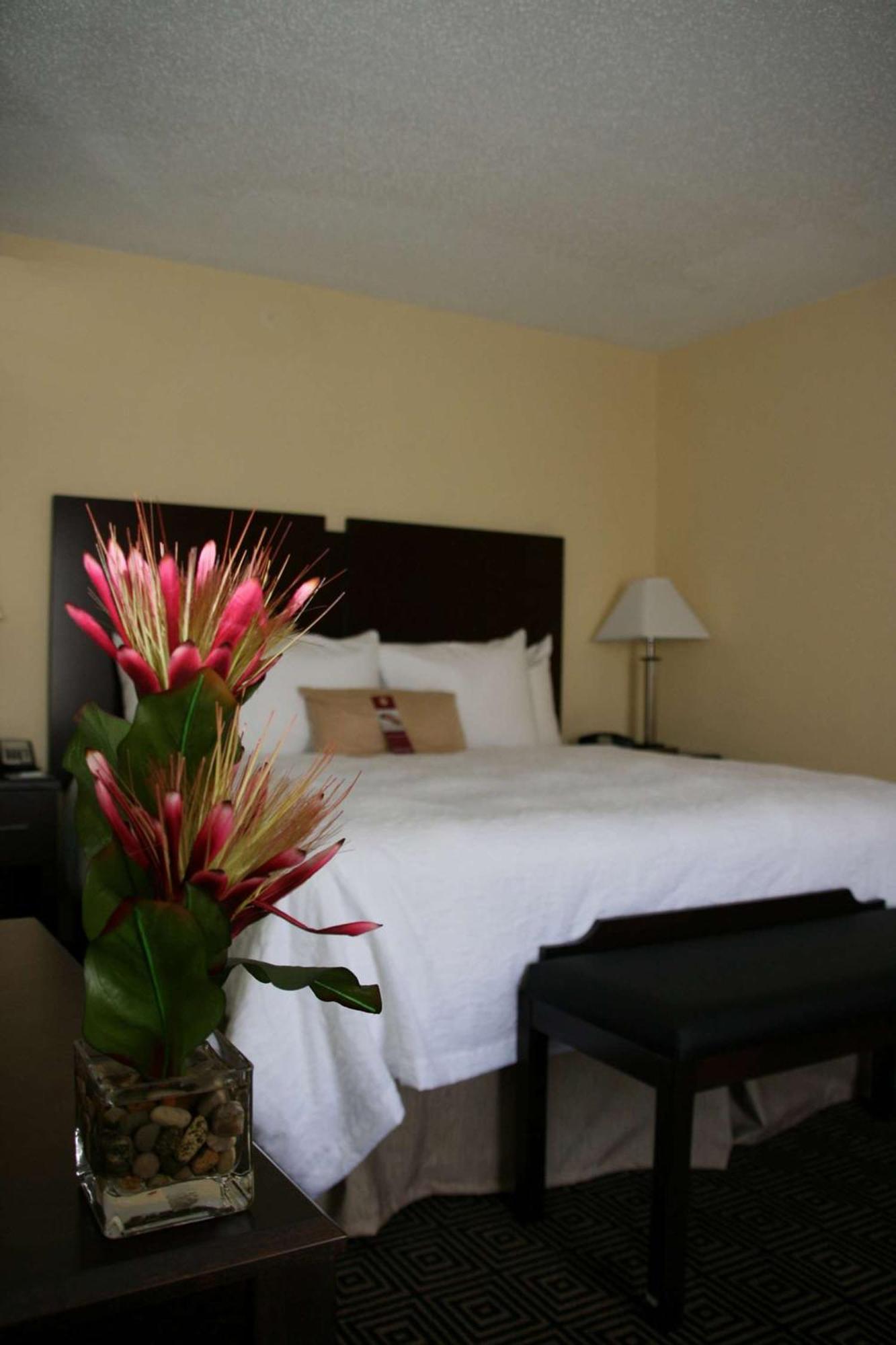 Hampton Inn & Suites Orlando-John Young Parkway/South Park Williamsburg Экстерьер фото